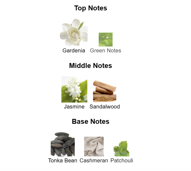Splen Jasmine (Splendida Jasmin Noir muadili) 50 ml Kadın Parfümü - Görsel 3