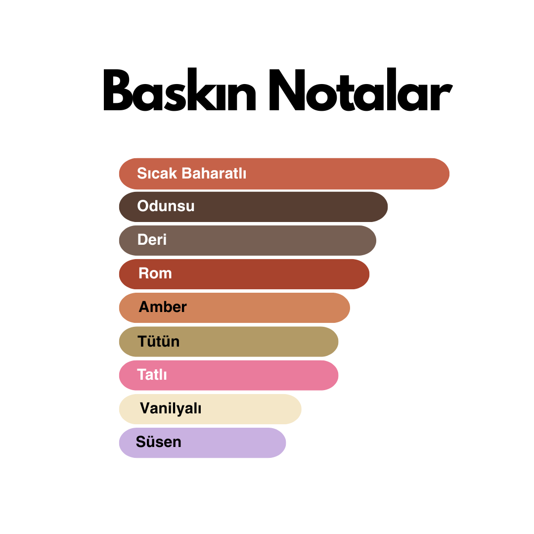 Black Man (Man in Black muadili) 50 ml Erkek Parfümü - Görsel 3