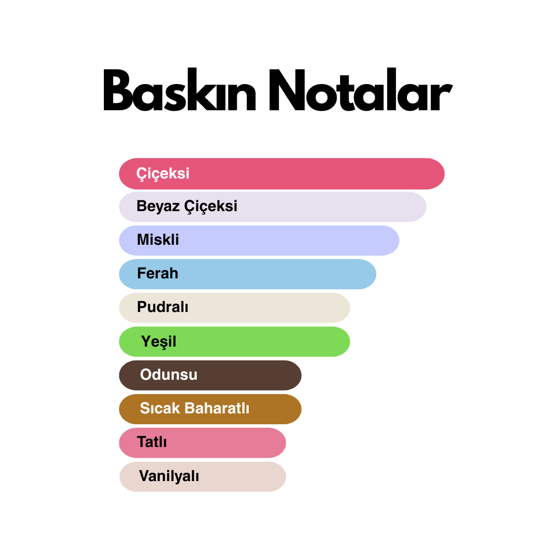 Canoa (Noa muadili) 50 ml Kadın Parfümü - Görsel 3