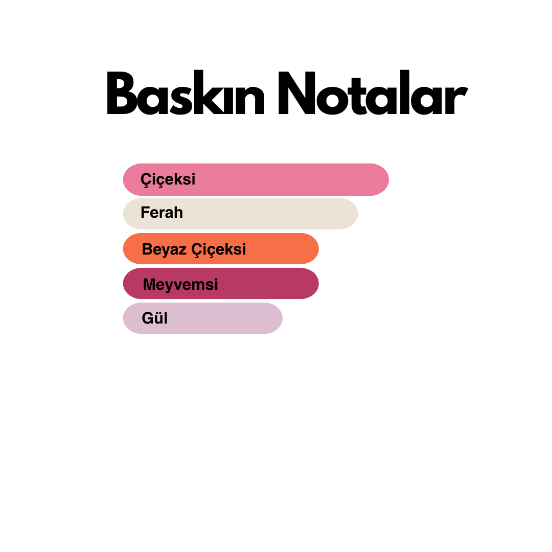 Celebrate (Celebre muadili) 50 ml Kadın Parfümü - Görsel 3