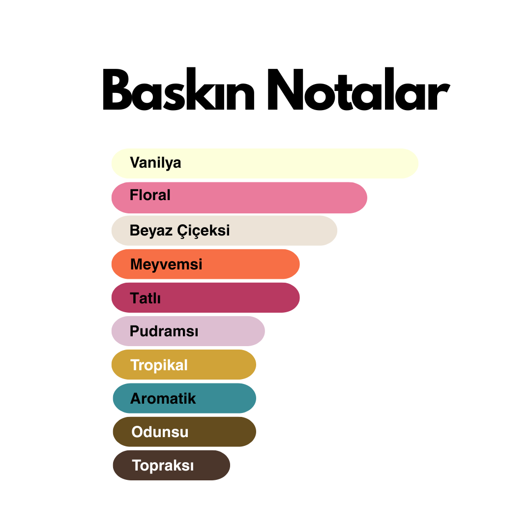 Hypno Me (Hypnôse muadili) 50 ml Kadın Parfümü - Görsel 2