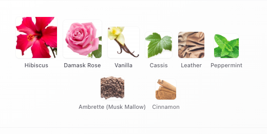 Hibiscus Mahajad kokusundan esinlenilmiştir - Görsel 3